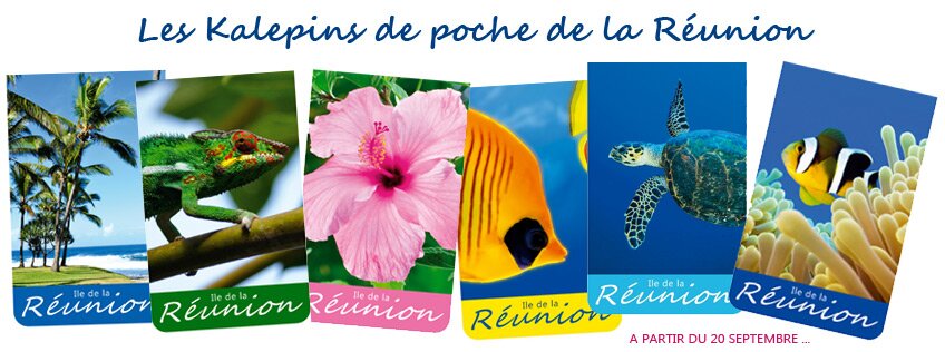 des blocs notes de la Réunion à découvrir